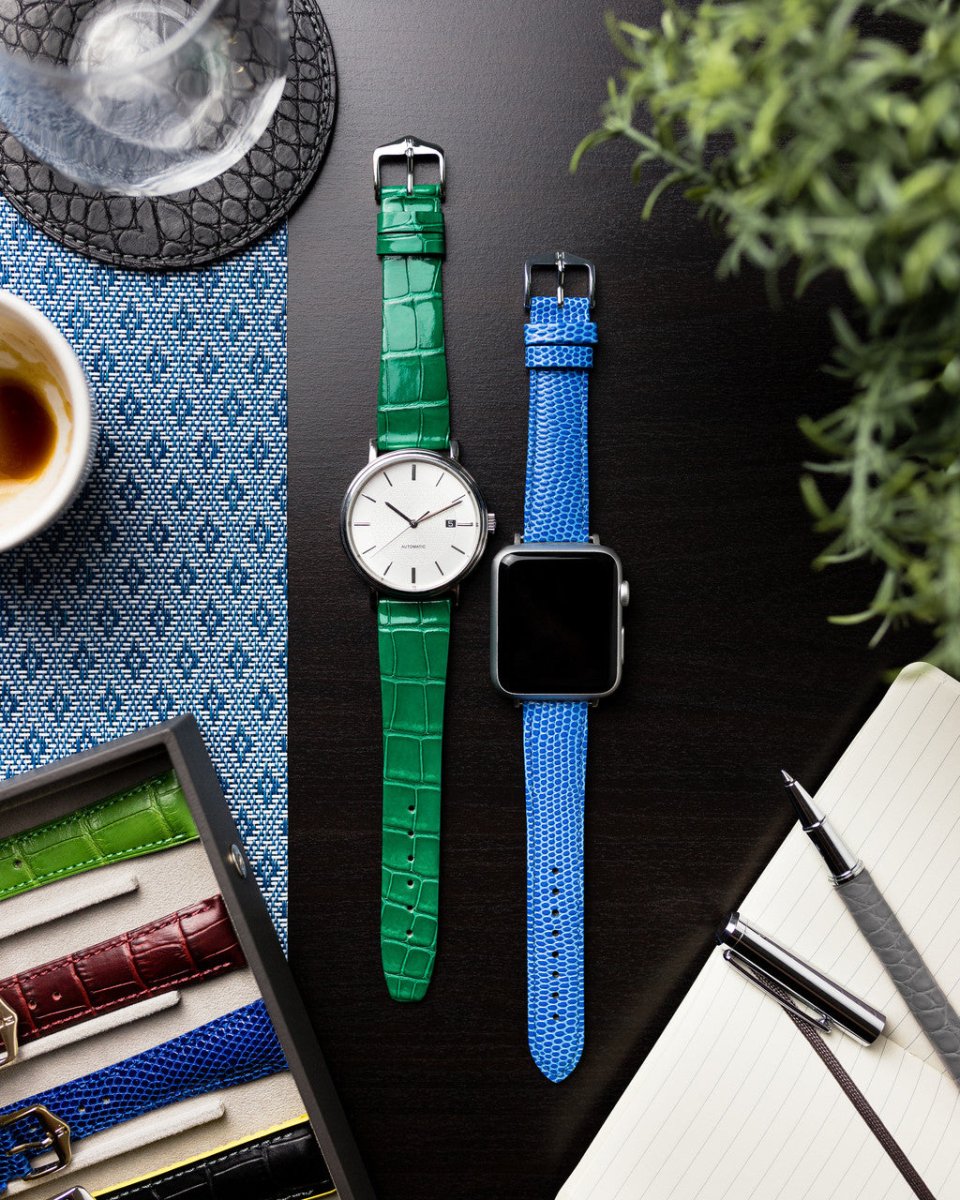 Rainbow | Embossed Lizard watch band - Strapped For Time